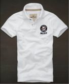 Polo Hollister