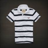 Polo Hollister