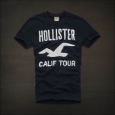 Camiseta Hollister