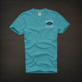 Camiseta Hollister